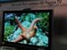 50inch-plasma