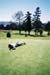 golf2004i26